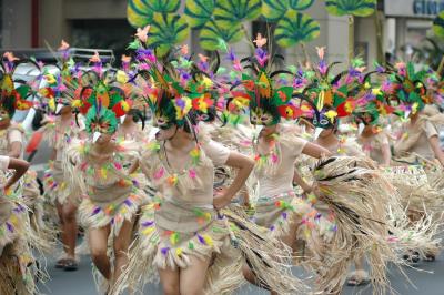 Mulawin in Action