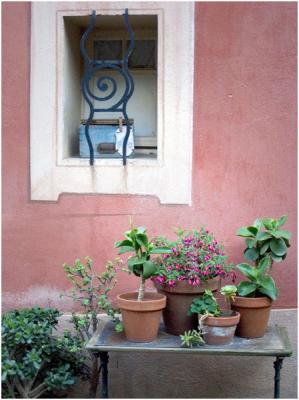 Window-Garden