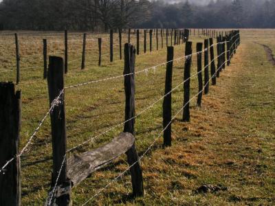 a JPG Fence Rows P1097897.jpg