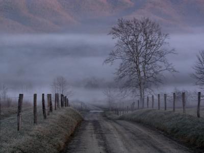 Images From Cades Cove