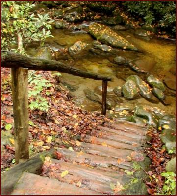 Step Right This Way, Please