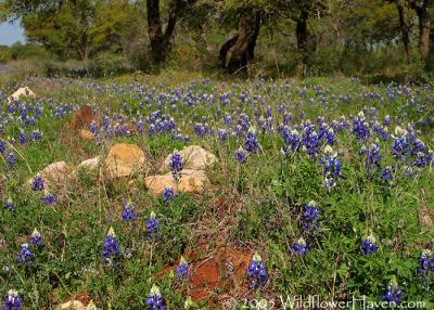 Mason County - 4/7/2005