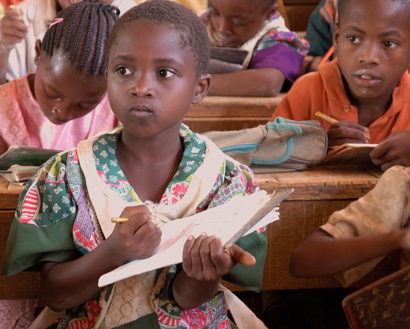 Cameroons future