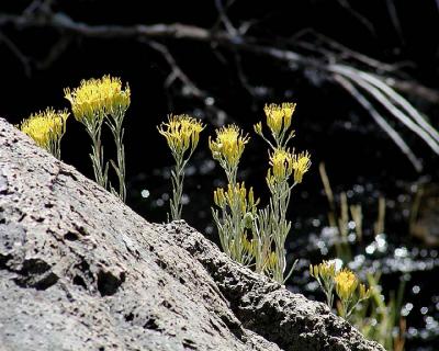 P8270131 8x10.jpg