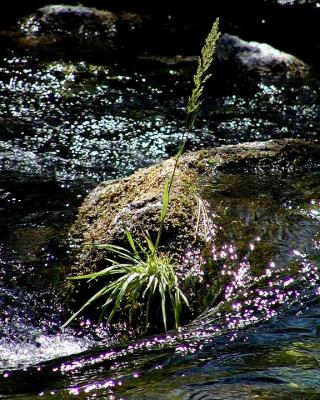P8270133 8x10.jpg