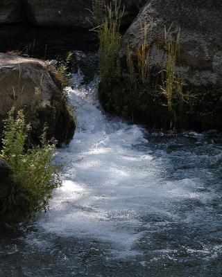 P8270159 8x10.jpg