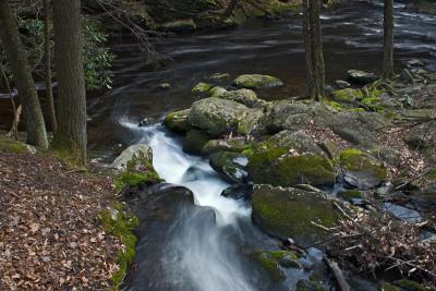 CRW_0711.jpg