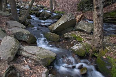 CRW_0714.jpg
