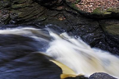 CRW_0765.jpg