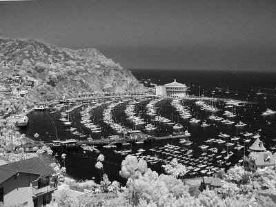 Harbor view infrared