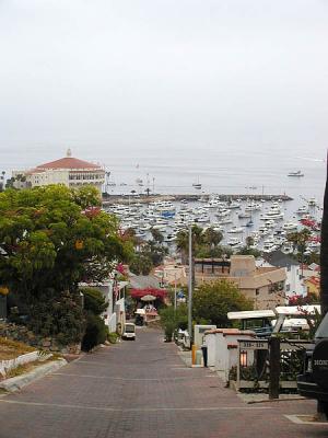 Quiet back street