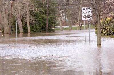Route 29 '05 Flood