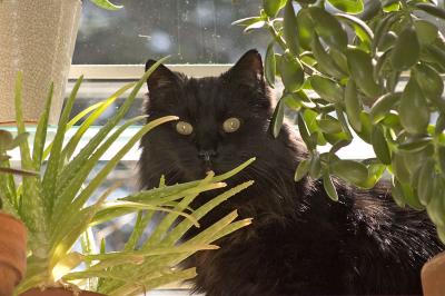 caught stalking!