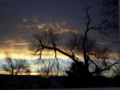 Storm Warning