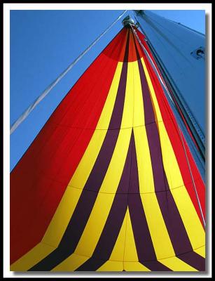 .75 spinnaker