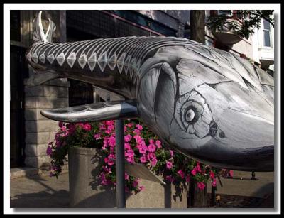 Steel fish