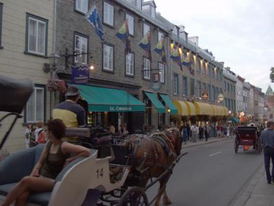 Horses of the streets of Qubec City
