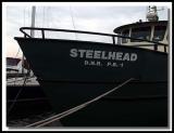 The Steelhead