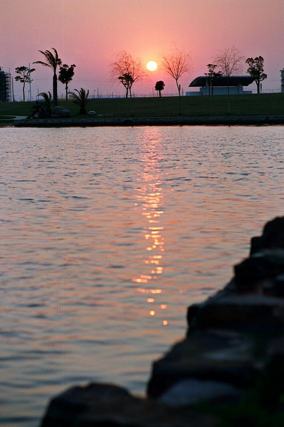Sunset On the Pond