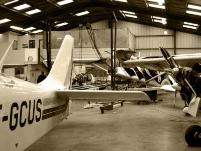 befly.023.jpg