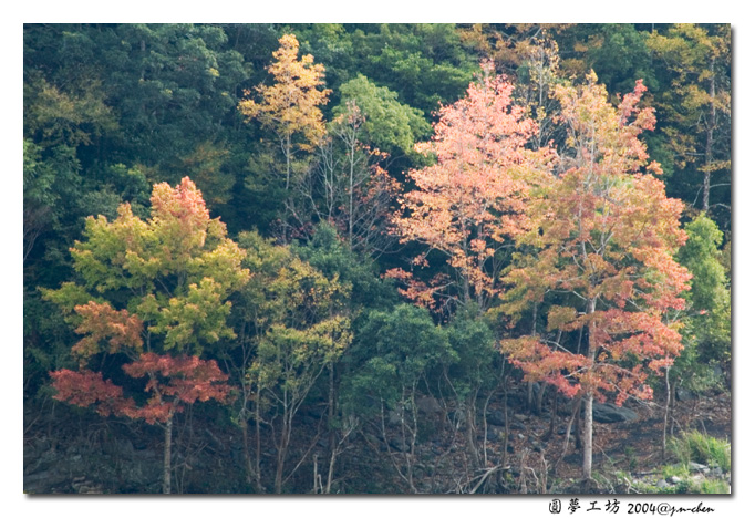 DSC_1307.jpg