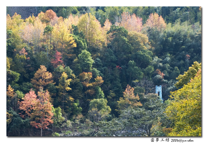 DSC_1317.jpg