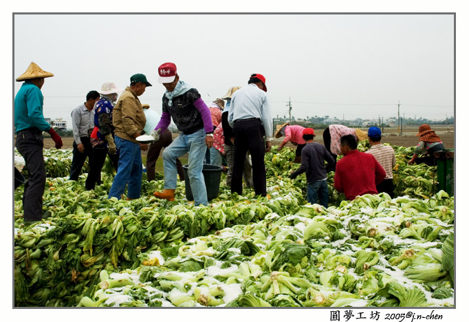 DSC_1403-1.jpg