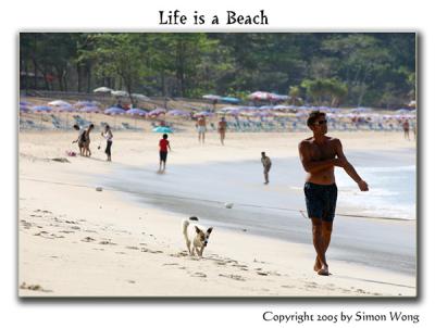 life-is-a-beach.jpg