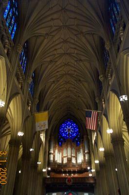 St Patrick Cathedral 04