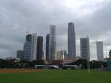 CBD from the Padang