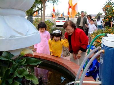 DSCF2259.JPG