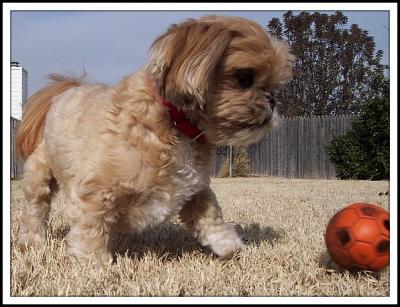 Soccer Practice