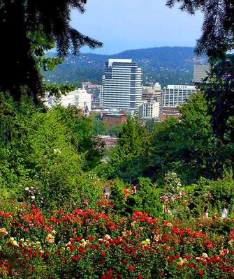 Rose Garden, Portland