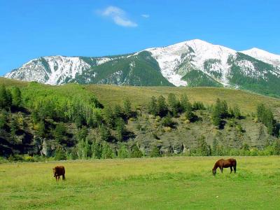 Crested Butte  