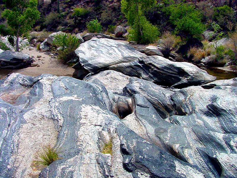 Sabino Canyon 2