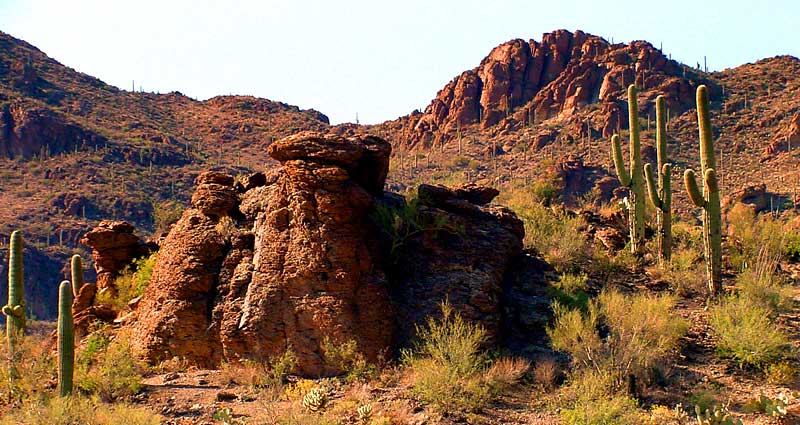 Tucson Mountain Park