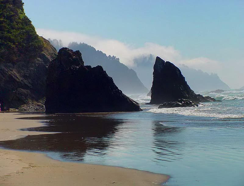 Foggy Coast