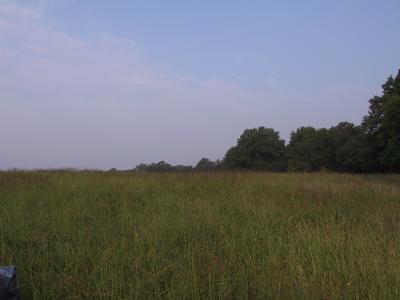 100-0006_IMG.JPG