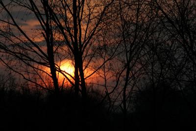 sunrise_CanonEOS.jpg