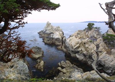 Point Lobos State Park - California