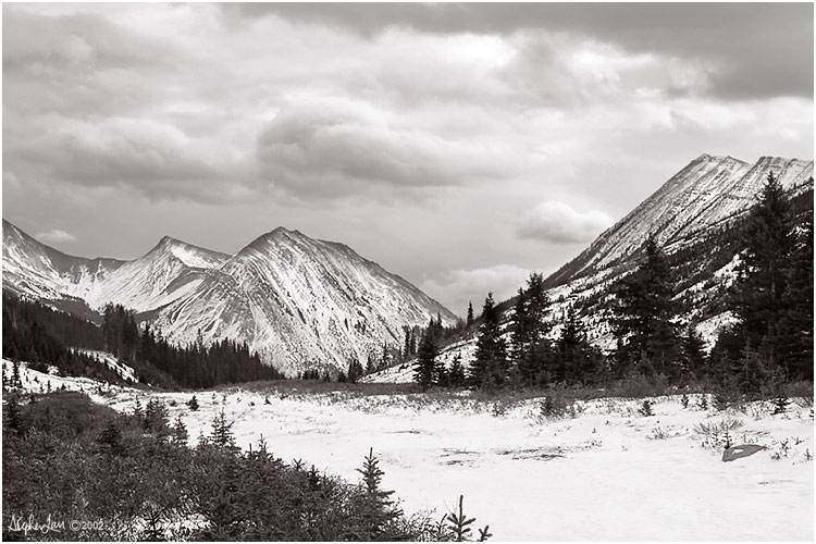BW Highwood Pass, Kananaskis