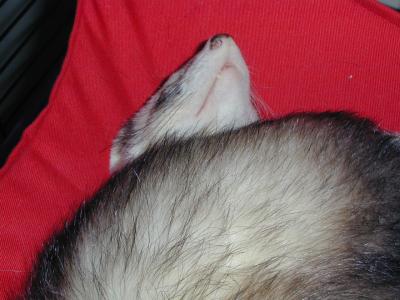 DSCN0107.jpg