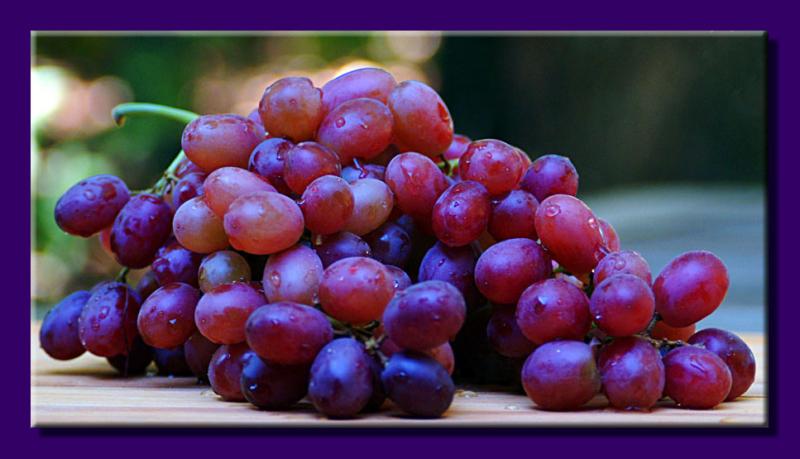 <b>Grapes</b><br><font size=1><i>by</i><Font size=2>  Faye White