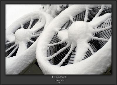 freezed by Ura SAMONOV (2002)*