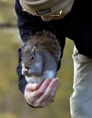 Man and squirrelby Moti