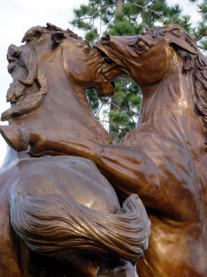 Horse Love?