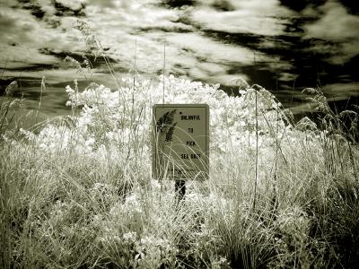 Fort Desoto   By JM8