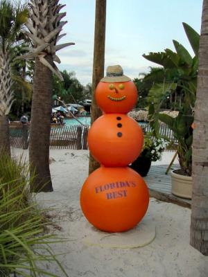 <B>Florida Snowman</B><BR><FONT size=1>by Lisa Young</font>