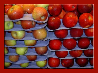 <B>Organic Apples</B><BR><FONT size=2>by Ann Chaikin</FONT>