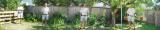 Alone in my garden   by  Stephen Peszel